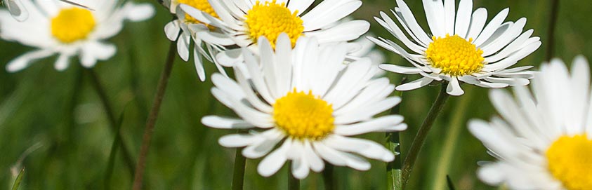 Reiki Honorare Kosten