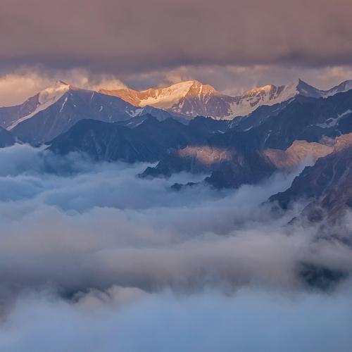 Schneebedeckte Berggipfel ragen aus einem Wolkenmeer.
